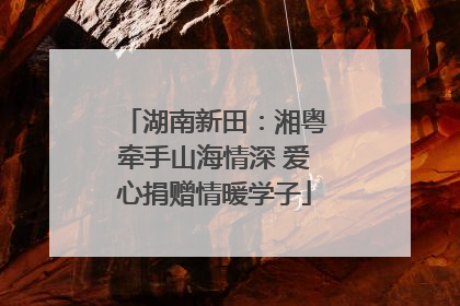 湖南新田：湘粤牵手山海情深 爱心捐赠情暖学子