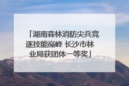 湖南森林消防尖兵竞逐技能巅峰 长沙市林业局获团体一等奖
