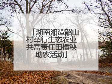 湖南湘潭韶山村举行生态农业共富责任田插秧助农活动