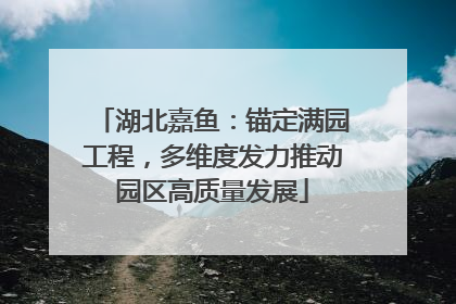 湖北嘉鱼：锚定满园工程，多维度发力推动园区高质量发展