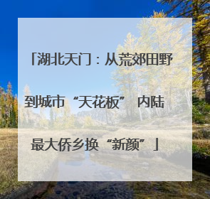 湖北天门：从荒郊田野到城市“天花板” 内陆最大侨乡换“新颜”