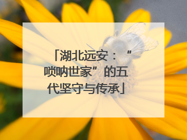 湖北远安：“唢呐世家”的五代坚守与传承