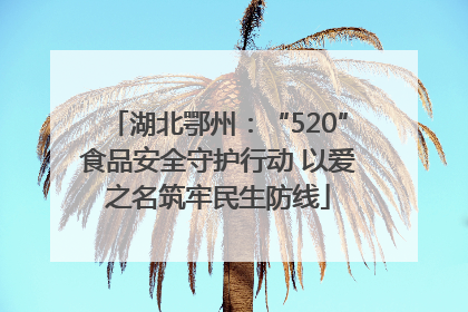 湖北鄂州：“520”食品安全守护行动 以爱之名筑牢民生防线