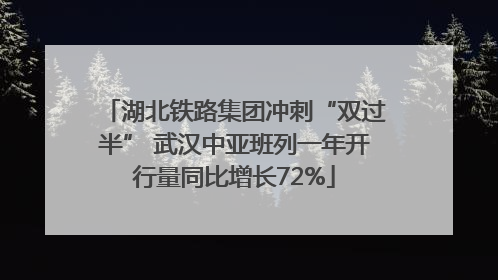 湖北铁路集团冲刺“双过半” 武汉中亚班列一年开行量同比增长72%