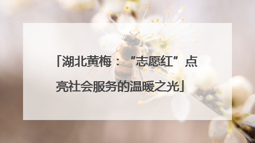湖北黄梅：“志愿红”点亮社会服务的温暖之光