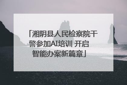 湘阴县人民检察院干警参加AI培训 开启智能办案新篇章
