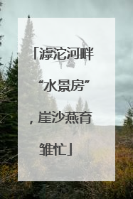 滹沱河畔“水景房”，崖沙燕育雏忙