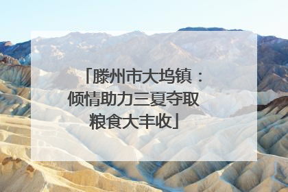 滕州市大坞镇：倾情助力三夏夺取粮食大丰收