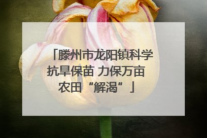 滕州市龙阳镇科学抗旱保苗 力保万亩农田“解渴”