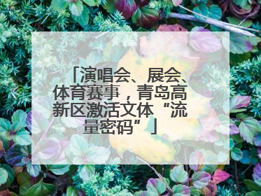 演唱会、展会、体育赛事，青岛高新区激活文体“流量密码”