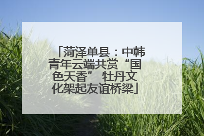 菏泽单县：中韩青年云端共赏“国色天香” 牡丹文化架起友谊桥梁
