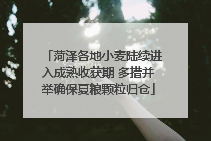 菏泽各地小麦陆续进入成熟收获期 多措并举确保夏粮颗粒归仓