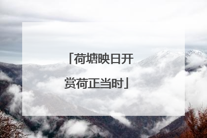 荷塘映日开 赏荷正当时