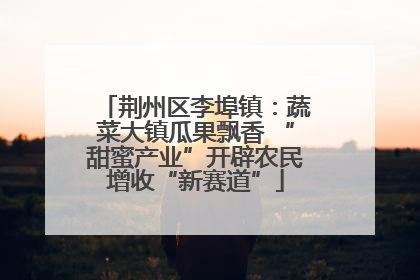 荆州区李埠镇：蔬菜大镇瓜果飘香 “甜蜜产业”开辟农民增收“新赛道”