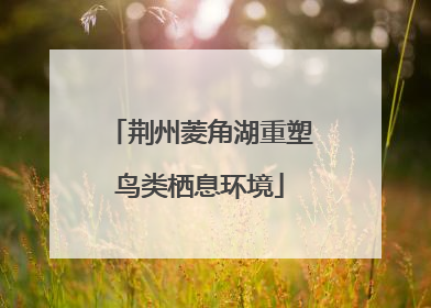 荆州菱角湖重塑鸟类栖息环境