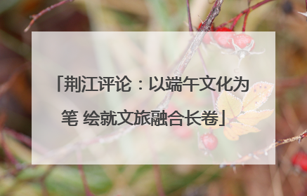 荆江评论：以端午文化为笔 绘就文旅融合长卷