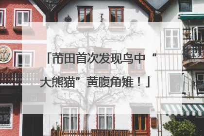 莆田首次发现鸟中“大熊猫”黄腹角雉！