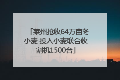 莱州抢收64万亩冬小麦 投入小麦联合收割机1500台