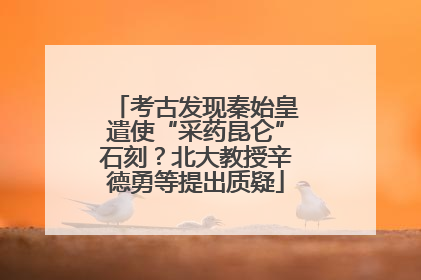考古发现秦始皇遣使“采药昆仑”石刻？北大教授辛德勇等提出质疑