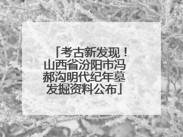 考古新发现！山西省汾阳市冯郝沟明代纪年墓发掘资料公布