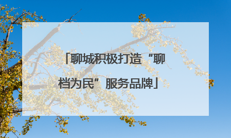 聊城积极打造“聊档为民”服务品牌