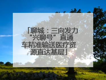 聊城：三向发力 “兴聊号”直通车精准输送医疗资源直达基层
