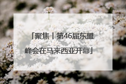 聚焦丨第46届东盟峰会在马来西亚开幕