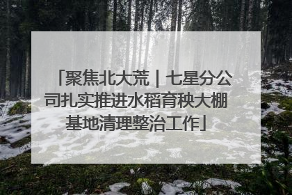 聚焦北大荒｜七星分公司扎实推进水稻育秧大棚基地清理整治工作