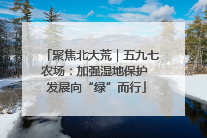 聚焦北大荒｜五九七农场：加强湿地保护 发展向“绿”而行