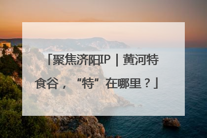 聚焦济阳IP｜黄河特食谷，“特”在哪里？