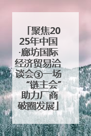 聚焦2025年中国·廊坊国际经济贸易洽谈会③一场“链主会” 助力厂商破圈发展