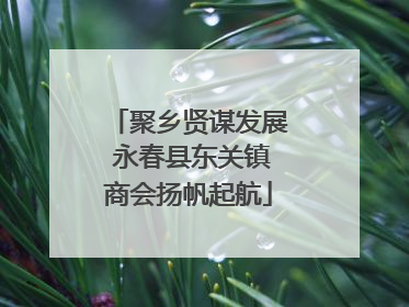聚乡贤谋发展 永春县东关镇商会扬帆起航