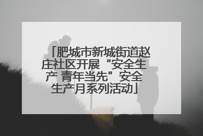肥城市新城街道赵庄社区开展“安全生产 青年当先”安全生产月系列活动