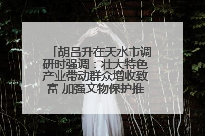 胡昌升在天水市调研时强调：壮大特色产业带动群众增收致富 加强文物保护推动文化创新发展