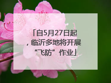 自5月27日起，临沂多地将开展“飞防”作业