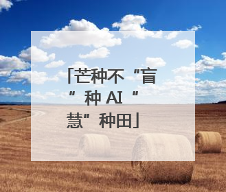 芒种不“盲”种 AI“慧”种田