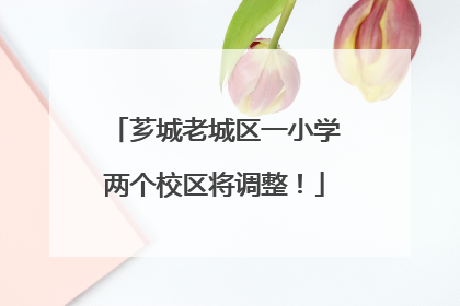 芗城老城区一小学两个校区将调整！