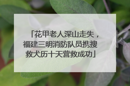 花甲老人深山走失，福建三明消防队员携搜救犬历十天营救成功