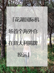 花湖国际机场首个海外仓在意大利揭牌投运