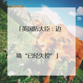 英国防大臣：边境“已经失控”