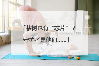 茶树也有“芯片”？守护者是他们……