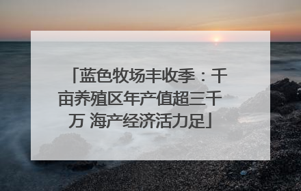 蓝色牧场丰收季：千亩养殖区年产值超三千万 海产经济活力足