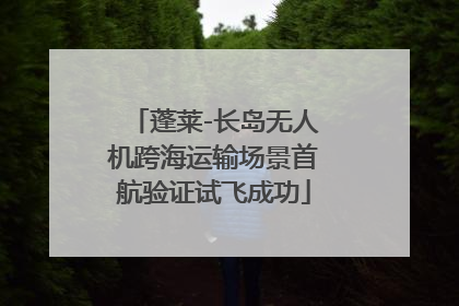 蓬莱-长岛无人机跨海运输场景首航验证试飞成功