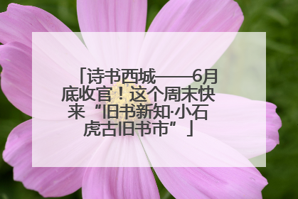 诗书西城——6月底收官！这个周末快来“旧书新知·小石虎古旧书市”