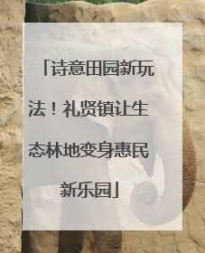诗意田园新玩法！礼贤镇让生态林地变身惠民新乐园