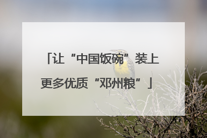 让“中国饭碗”装上更多优质“邓州粮”