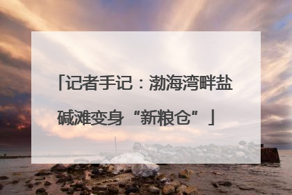 记者手记：渤海湾畔盐碱滩变身“新粮仓”