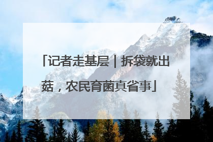记者走基层｜拆袋就出菇，农民育菌真省事