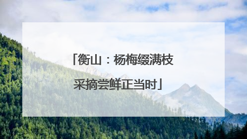 衡山：杨梅缀满枝 采摘尝鲜正当时
