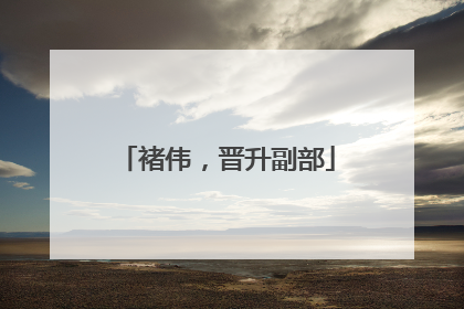 褚伟，晋升副部